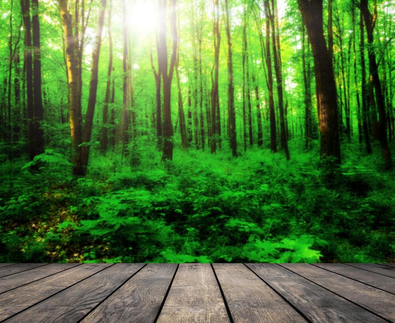 春季森林背景前的木桌