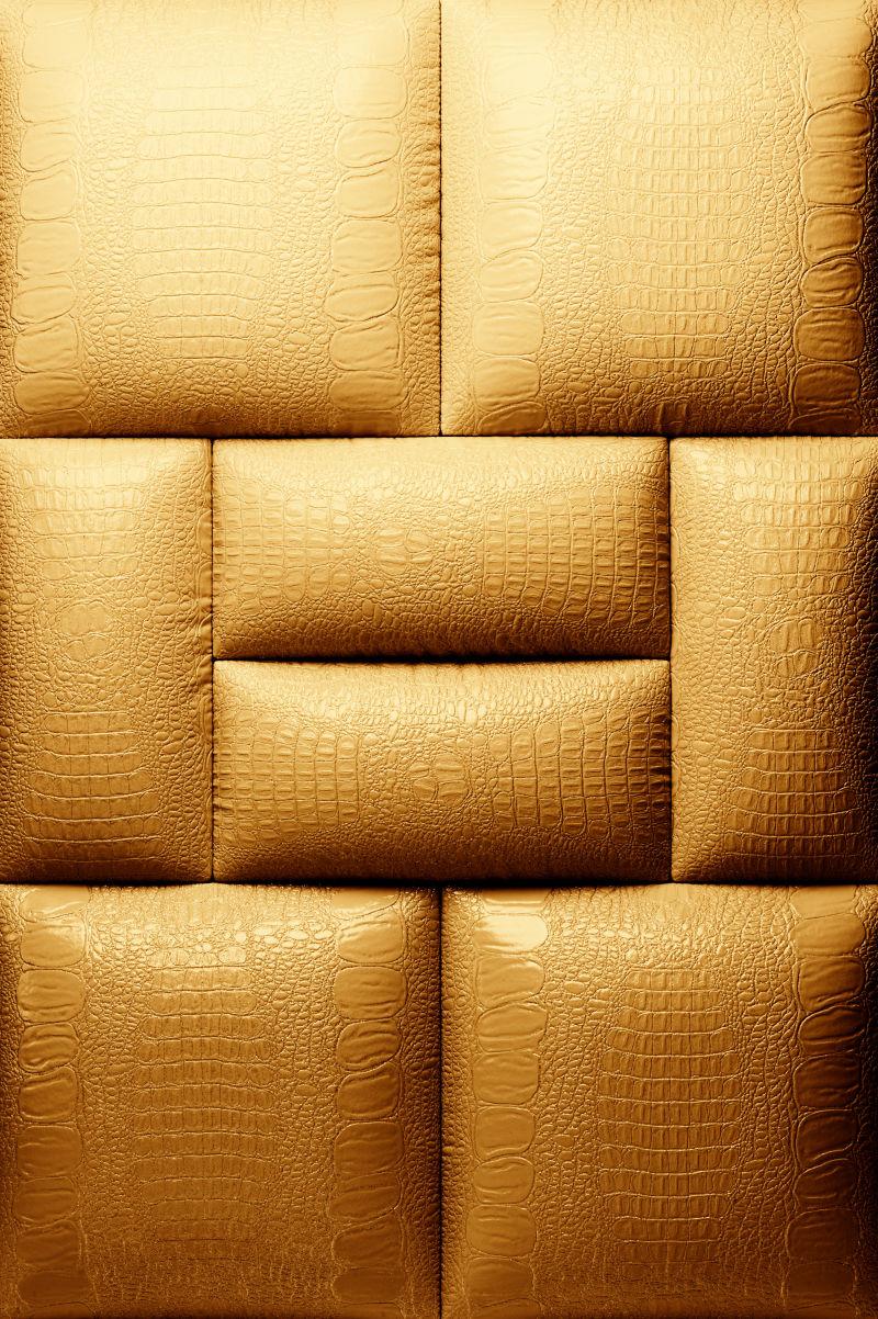 真皮室内装饰乌贼背景