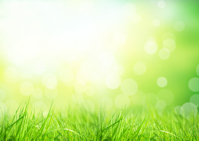 阳光下美丽的草地