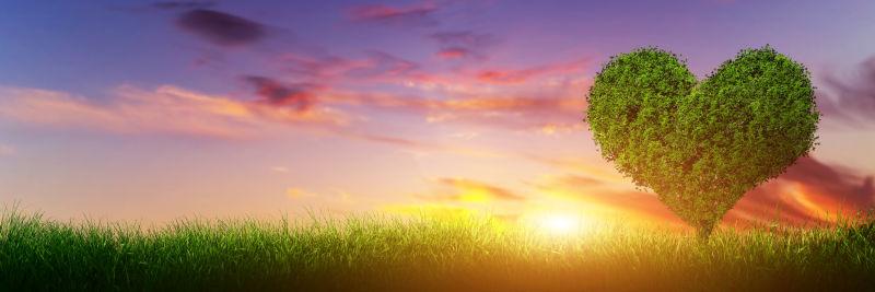 落日下绿色草地上的心形树木