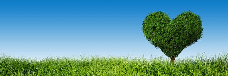 绿色草地上的心形树木