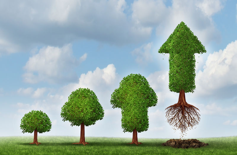 随着财富的增长的植物箭头