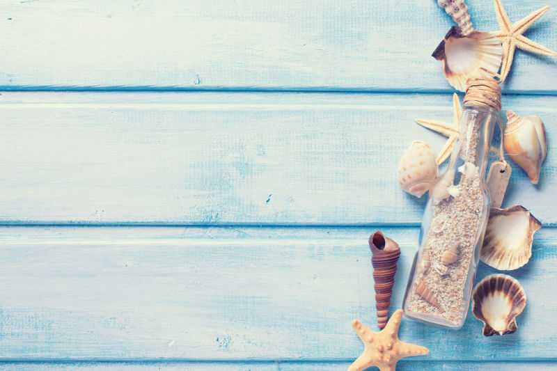 蓝色木桌上的海星与海螺