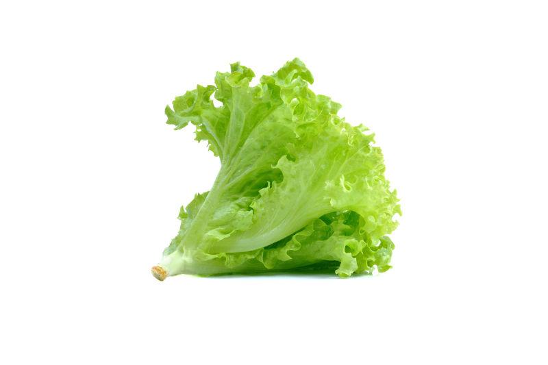 绿色橡木生菜白色背景
