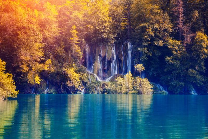 阳光照耀的森林克罗地亚国家公园