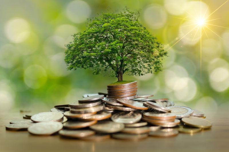 树上硬币展示商业增长的概念