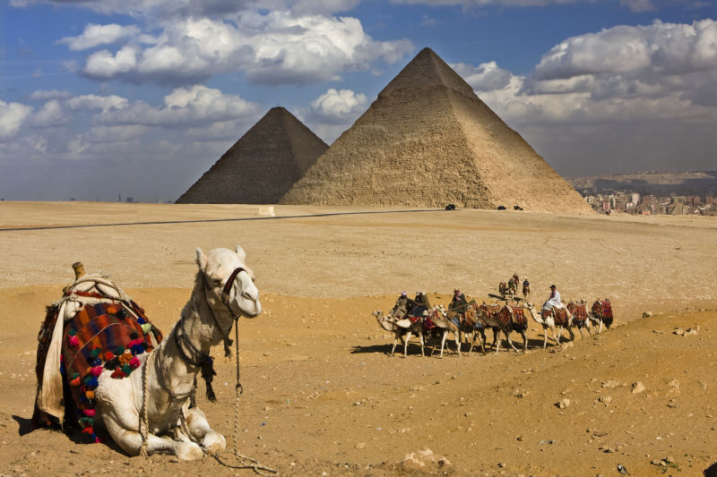 埃及沙漠骆驼队狮身人面像