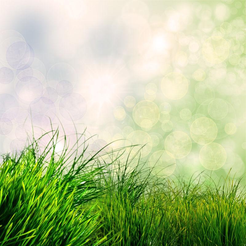 绿色春天草散景