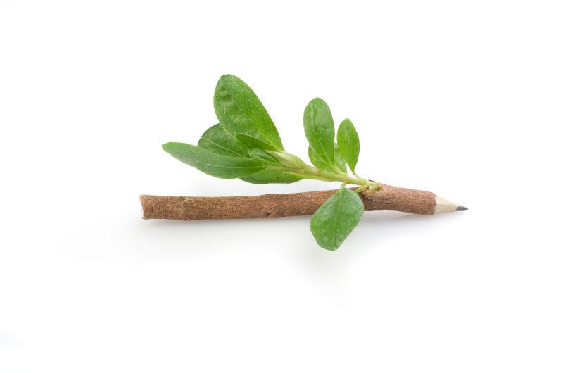 白色背景的木制铅笔