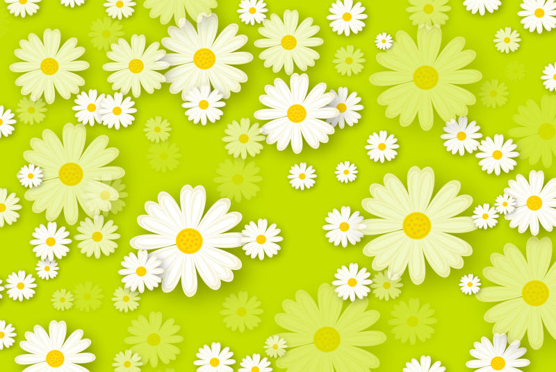 绿色背景上的小雏菊