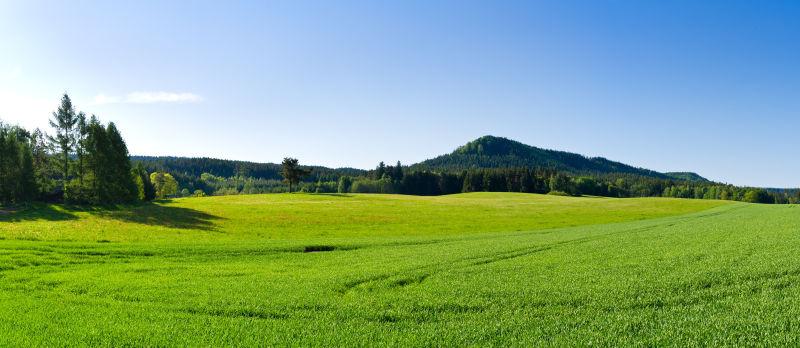 户外草地蓝天