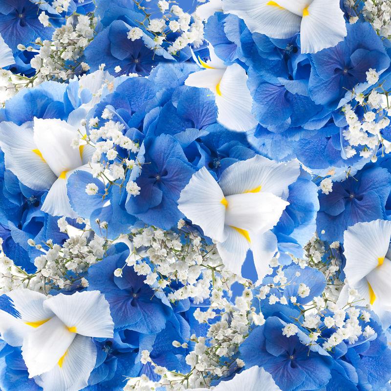 美丽的白色蓝色鲜花