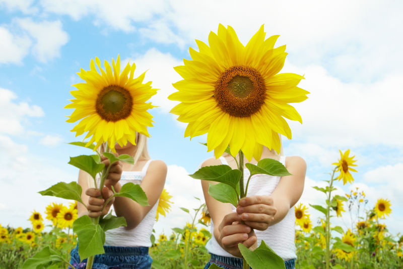俩小女孩拿着向日葵
