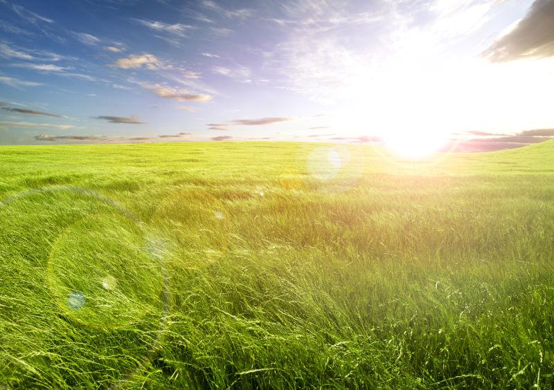落日下美丽的自然草地风景