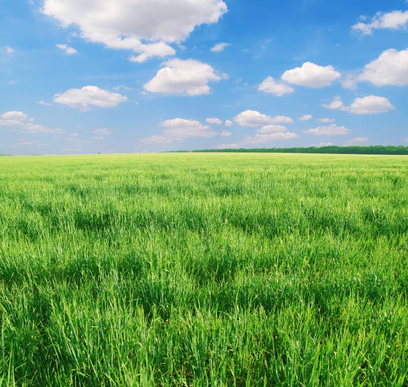 蓝天白云下美丽的自然风景