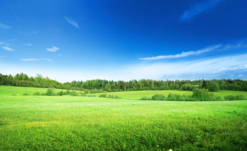 蓝色白云下的绿色的草地与完美天空