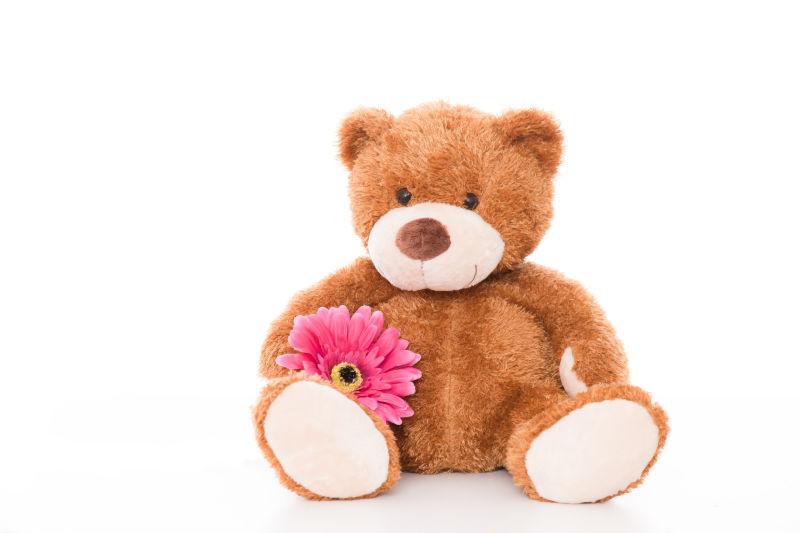 白色背景上拿着花儿的泰迪熊玩具