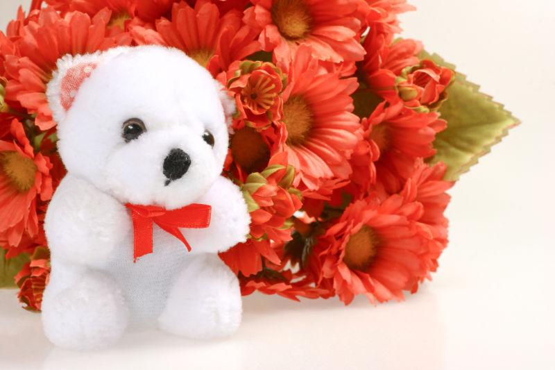 白色背景上的红色花朵前的泰迪熊
