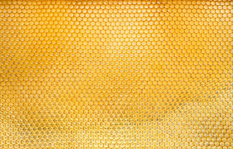 金黄色的蜂窝模型