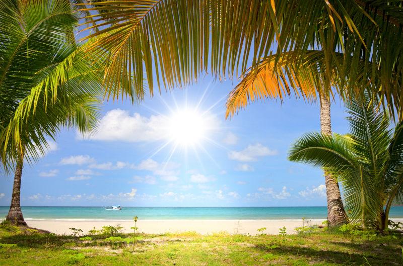 热带沙滩的蓝天白云棕榈树