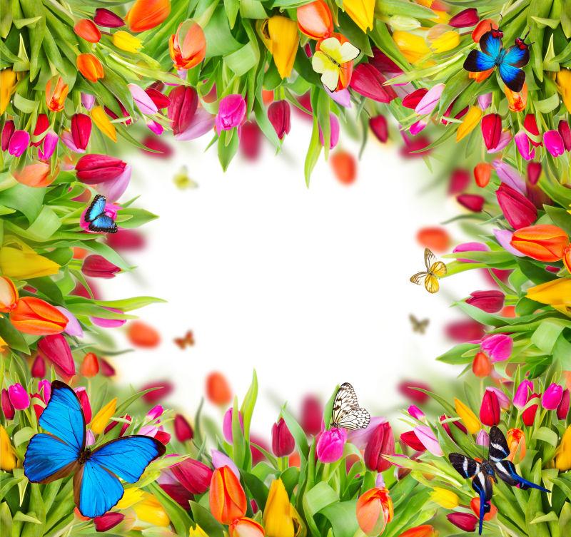 迷人的郁金香花束背景