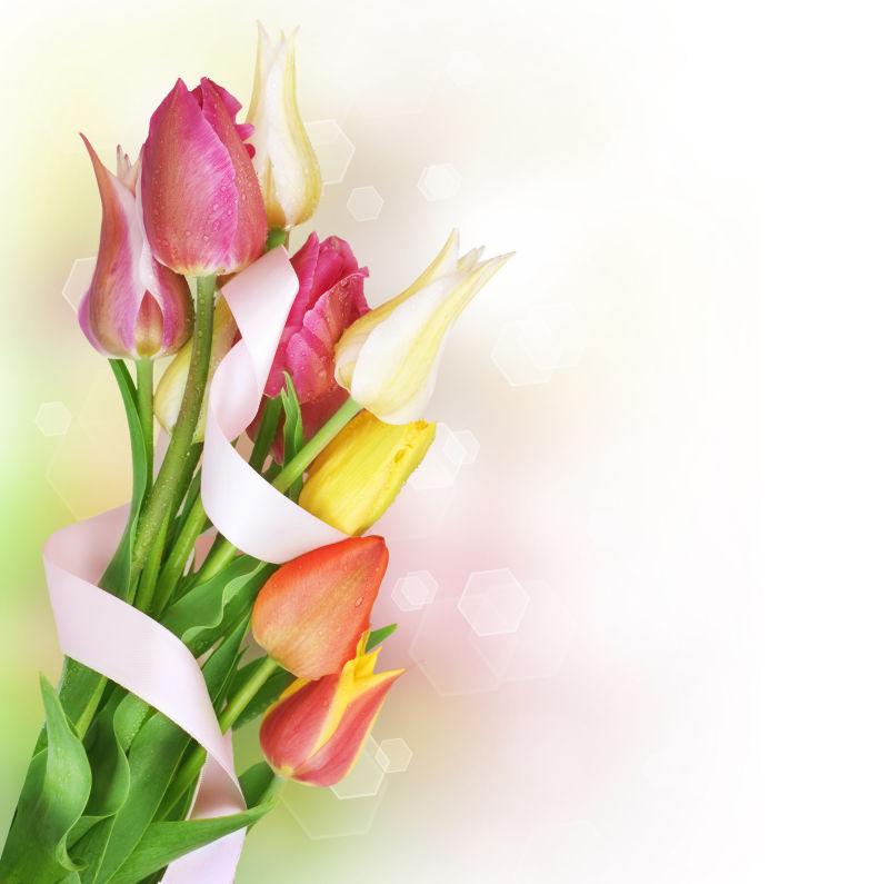 一束鲜艳的郁金香花