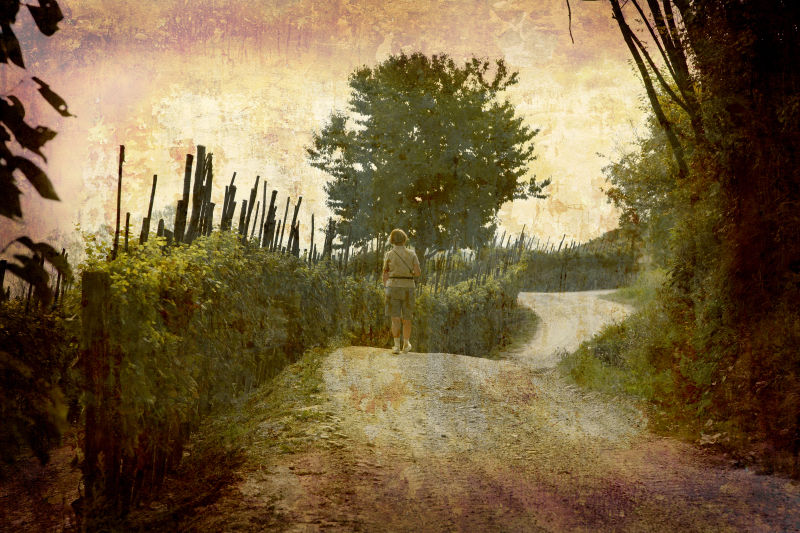 站在葡萄园小路上的人