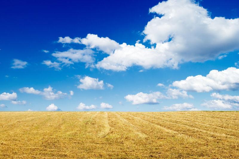 秋天的田野上有蓝天白云的背景