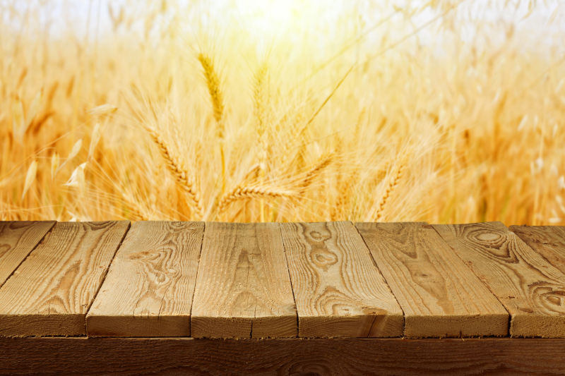 金色的麦田图片 小麦背景上的小麦素材 高清图片 摄影照片 寻图免费打包下载