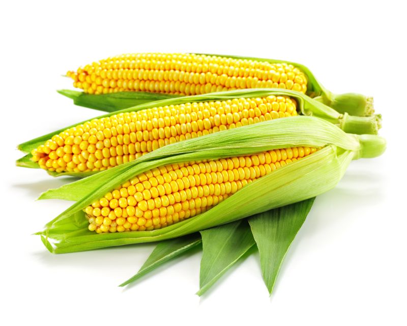 三颗新鲜的玉米