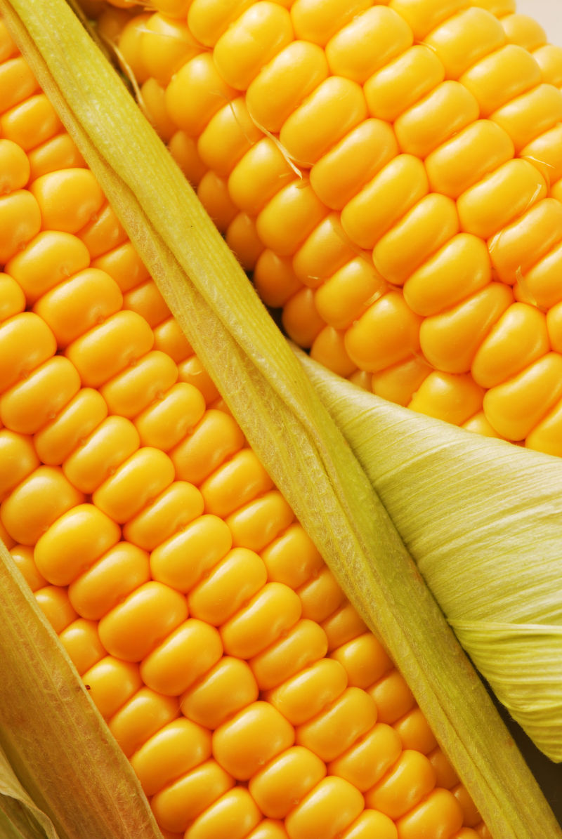 黄灿灿的两颗玉米