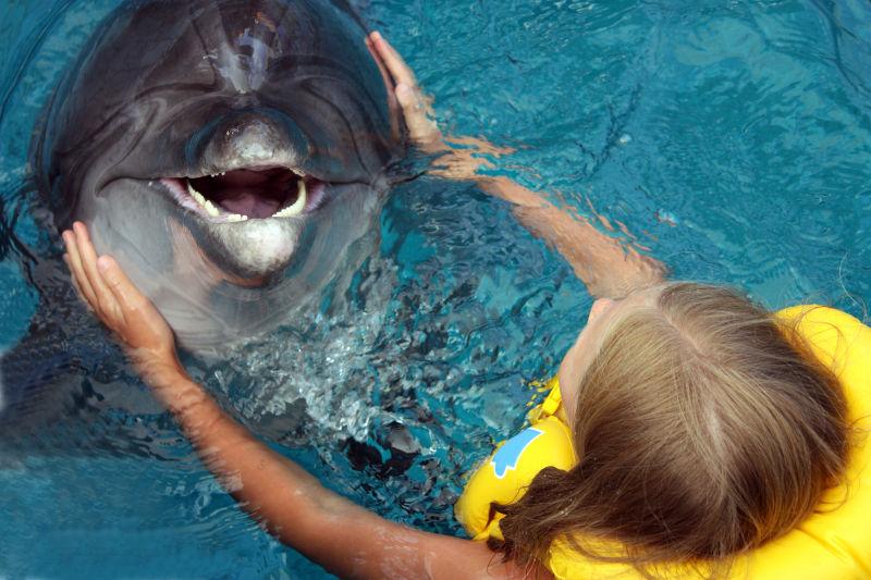 女孩和海豚互动