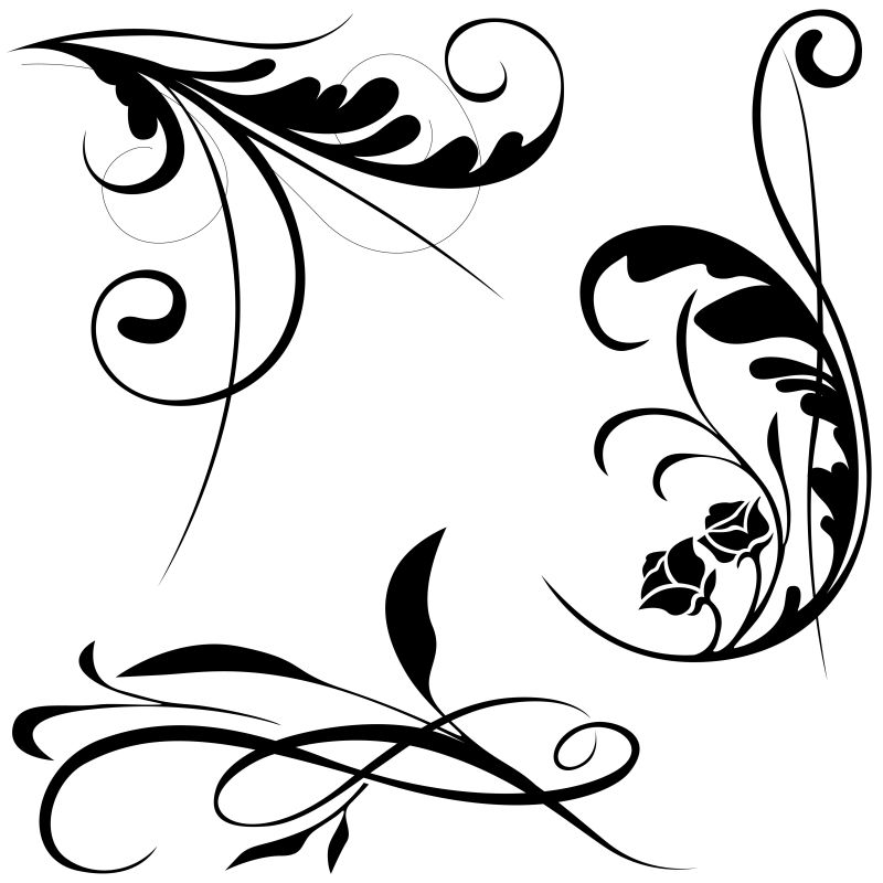 美丽的黑白花卉设计元素