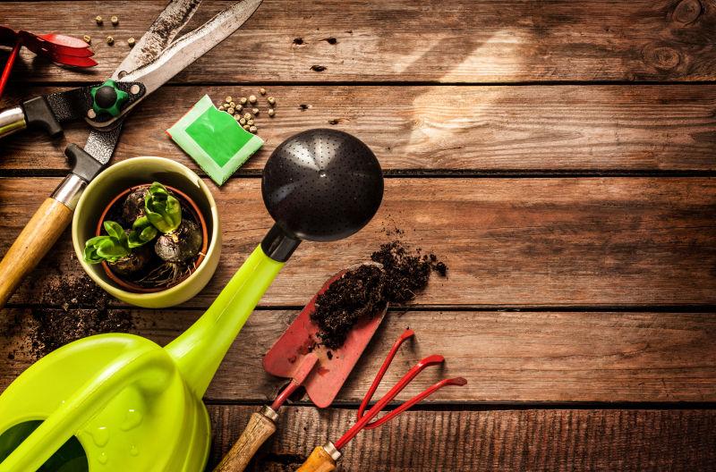 植物和土壤在古董木桌上