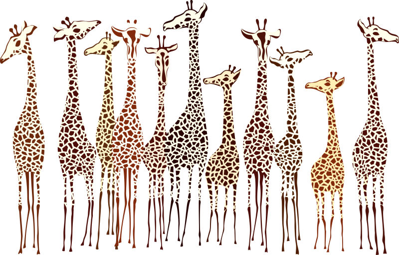 白色背景前卡通模型的长颈鹿