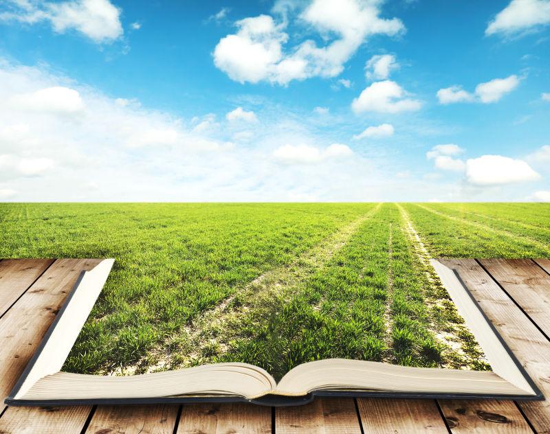 书中的绿地和路