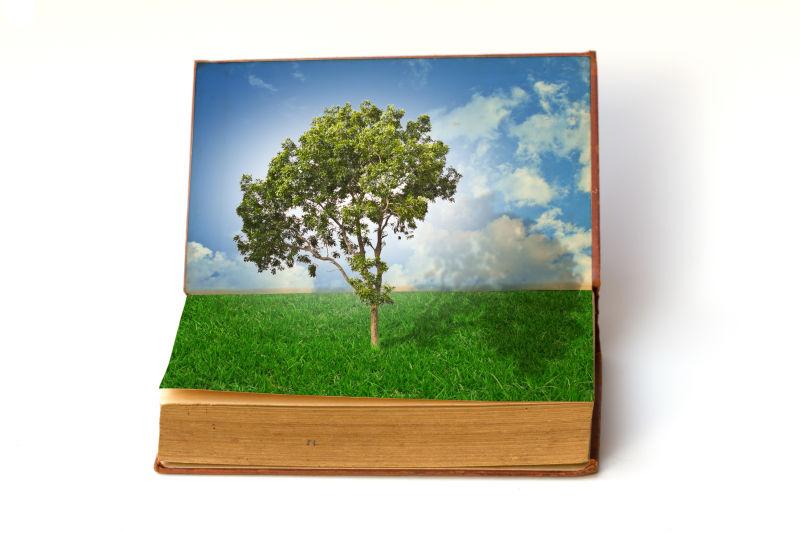 从书中生长的树