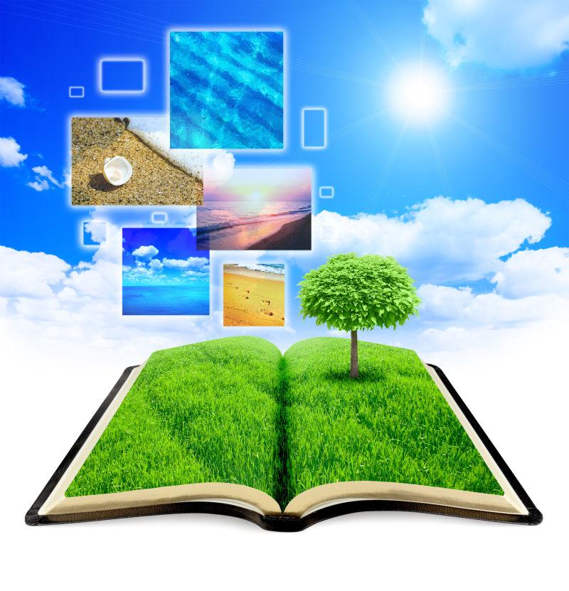 自然之书与相框