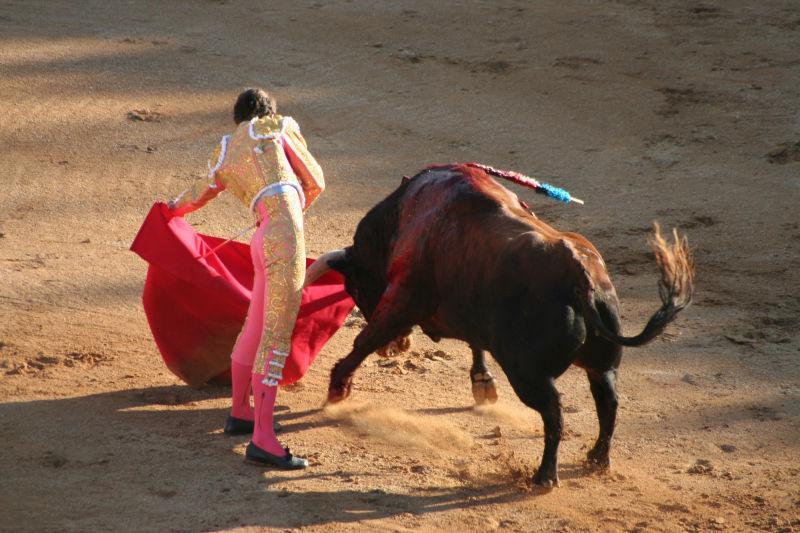 西班牙斗牛的勇士