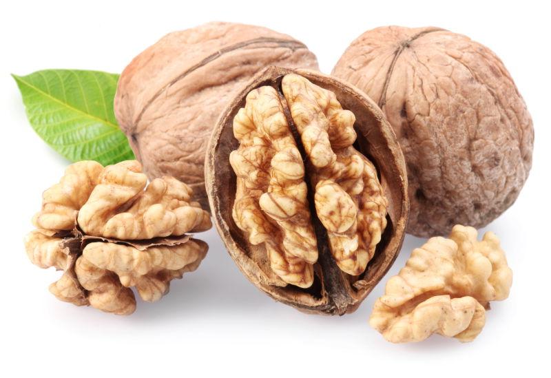 核桃叶子在白色背景上隔离