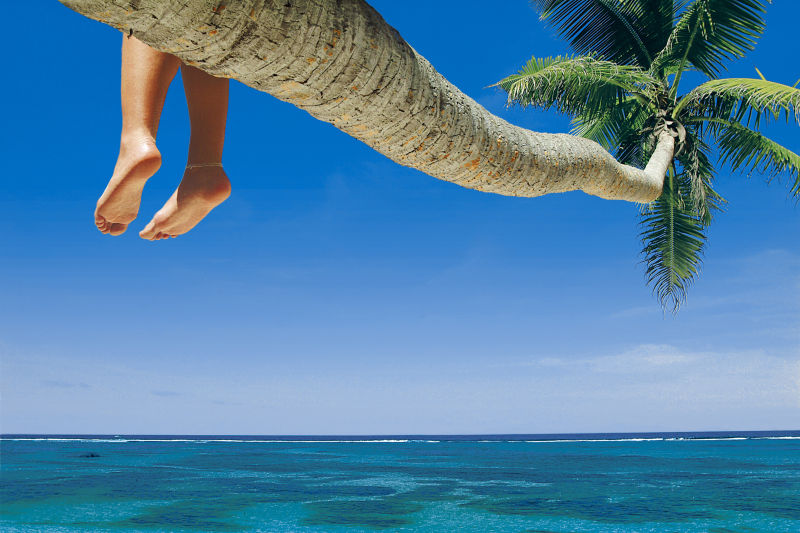 椰子树上悬挂的两条腿