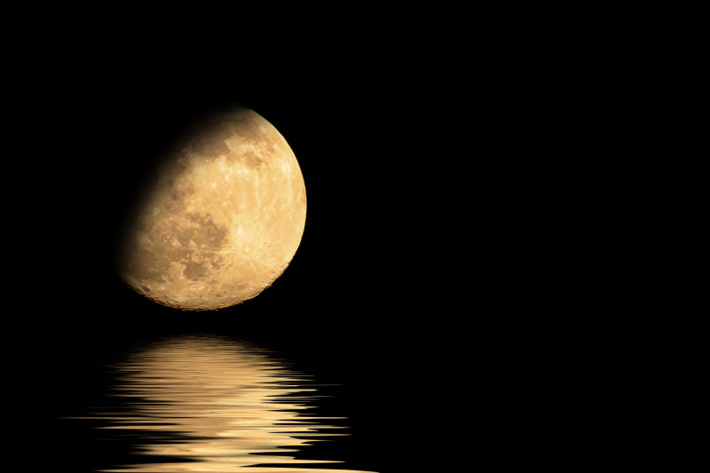 夜空中的半月和影子