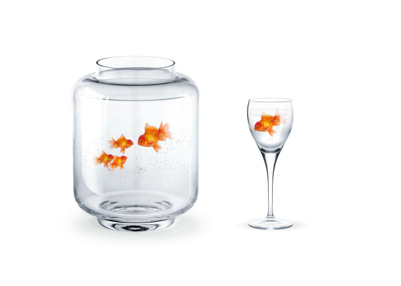 玻璃瓶子中的金鱼