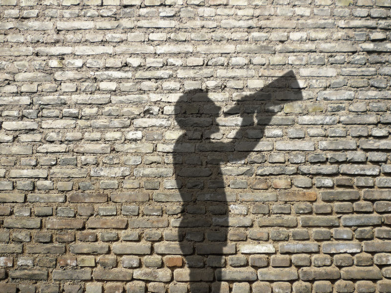 墙壁上拿着扩音器呐喊的影子