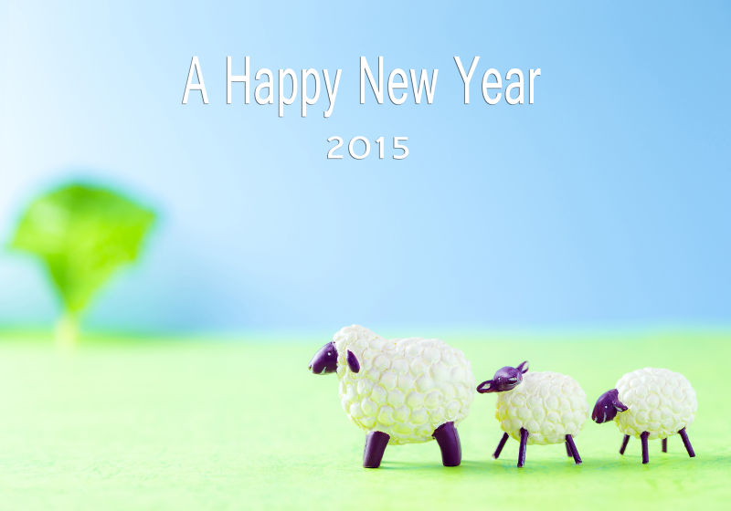 贺年片上的绵羊