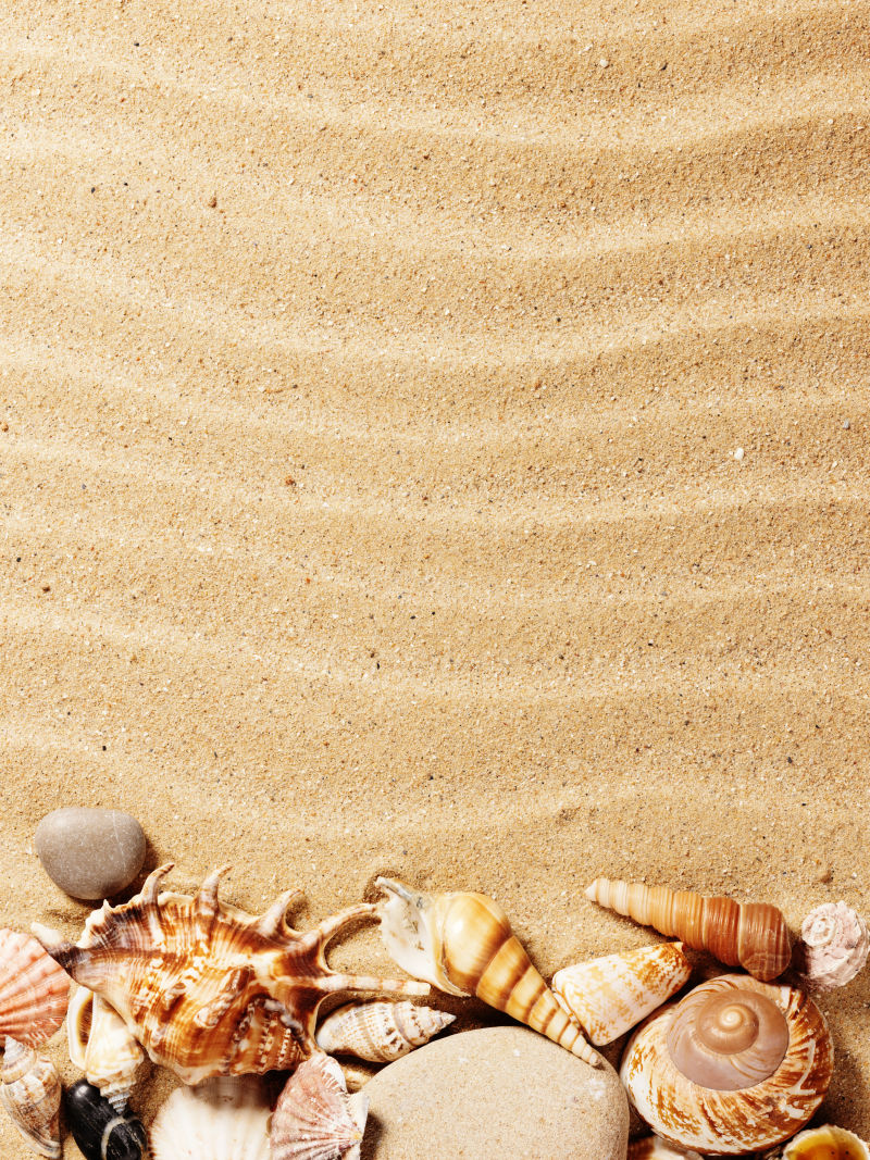 沙子与贝壳