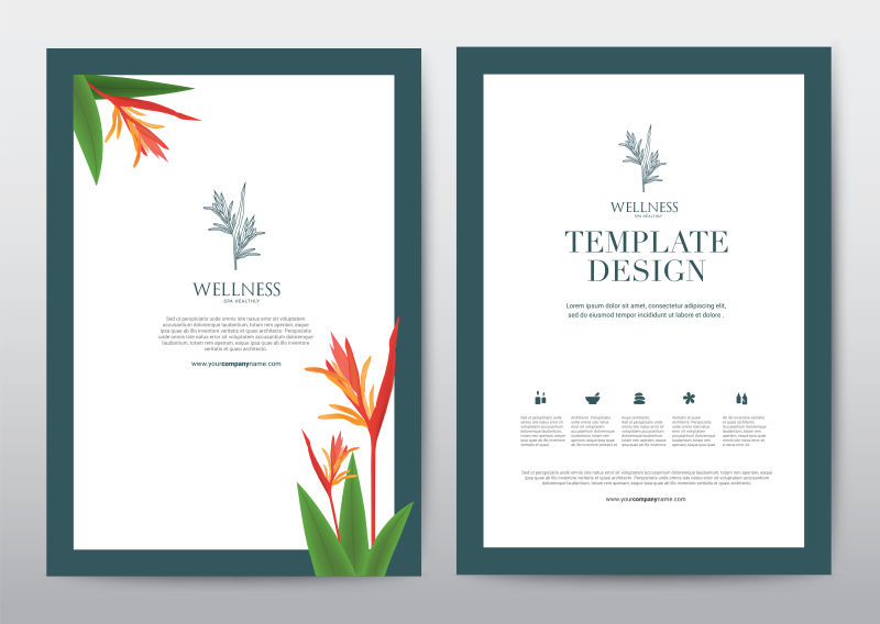 温泉养生宣传册封面矢量设计