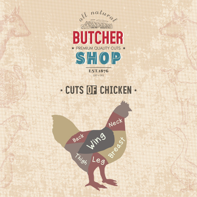 创意矢量抽象风格的家禽食用分解插图