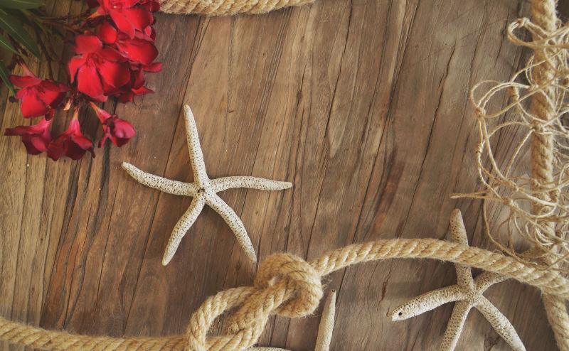 旧风化木上的贝壳和绳索