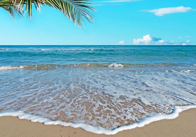 棕榈树晴天的热带海滩